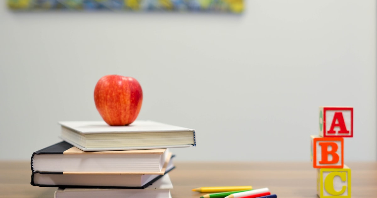 A Complete Guide to Private Tutoring in Ireland for Beginners